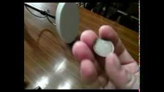 Miniatura